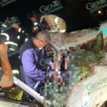 Mueren dos mujeres, un hombre y su mascota en choque de camioneta con un tráiler