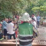 A 2 décadas de litigio, más de 70 familias recuperan terrenos despojados por CFE