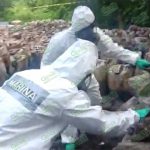 Decomisan 50 toneladas de cristal a Cártel de Sinaloa