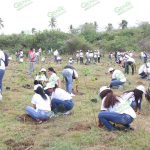 Para el domingo, campaña de reforestación en Solera del Agua