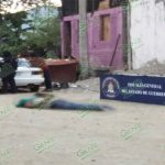 Torturan y matan a golpes a un hombre en la periferia de Acapulco