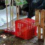 Lo persiguen y matan en inmediaciones del Mercado Central en Acapulco