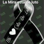 Evalúan suspender festejos patrios en La Mira