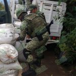 Abandonan camioneta con casi 50 kilos de marihuana en Eduardo Neri