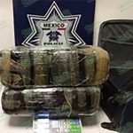 PF con apoyo de binomio canino localiza cargamento de marihuana