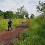 Localizan dos cadáveres con impactos de arma de fuego