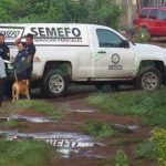 Asesinan a velador de huerta de aguacate
