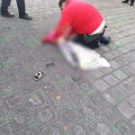 Camioneta atropella y mata a menor de edad