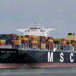 No logra Puerto Lázaro Cárdenas emitir certificados de sanidad a bordo