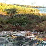 URGE ELIMINAR TIRADEROS DE BASURA JUNTO AL MAR