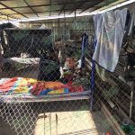 Elementos de Policía Michoacán denuncian condiciones inhumanas en que viven