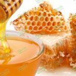 Produce Michoacán más de mil 500 toneladas de miel: Sedrua