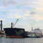 La Termoeléctrica de Petacalco inicia operación de carbón por la Terminal de Minerales a Granel