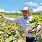 Produce Michoacán 8.5 millones de toneladas de frutos: Sedrua
