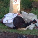 Otro decapitado más en Morelia
