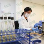 Realiza SSM, 4.5 millones de estudios de laboratorio al año