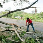 Lluvia del fin de semana dejó encharcamientos y árboles caídos