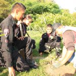 Reforestan parque Francisco Zarco, en Morelia