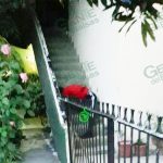 En Zamora, asesinan a un hombre a balazos