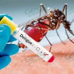 Ahora, el 44.4% de casos de dengue de Michoacán los registra Lázaro Cárdenas