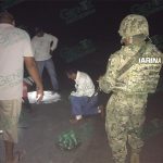 Semar y Profepa recolectan 780 huevos de tortuga golfina en LC