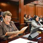 Morena vela por el bienestar de la familia: Teresa López