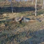Localizan en un predio los cadáveres de dos hombres
