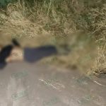 Asesinan de varios impactos de bala a una mujer en una colonia de Morelia