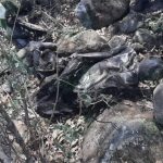 Hallan una narco fosa con los cadáveres de dos hombres