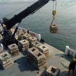 Armada de México brinda apoyo al sector pesquero de LC