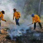 A prevenir incendios por quemas agrícolas, pide Desarrollo Agropecuario de LC