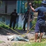 Capturan en LC cocodrilo de 4 metros de largo