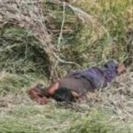 Encuentran cadáver de una mujer en una narco fosa