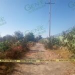 Violencia en Zamora sigue en aumento, matan a otro hombre más