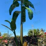 Instalan en San Vicente monumento al cultivo de plátano de Coahuayana