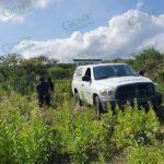 Localizan cadáver parcialmente calcinado