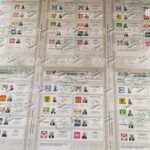 Boletas electorales se confeccionaron con la información proporcionada por los partidos e independientes: IEM