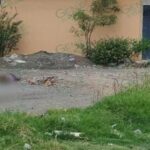 Dan muerte a balazos, en Zamora, a una joven mujer