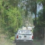 En Apatzingán hallan cadáver de un hombre