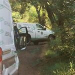 Localizan cinco cadáveres baleados