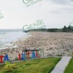 Inició en Ixtapilla nuevo gran espectáculo de arribazón de tortugas