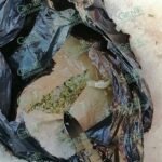 Vinculan a proceso en LC a presuntos traficantes de drogas