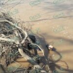Joven muere ahogado al caer a un río