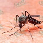 ADVIERTE JSN8 SOBRE SIGNOS ALARMANTES DE DENGUE AQUÍ