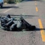 Choque de moto contra camioneta deja un muerto y un lesionado