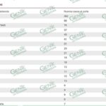 CRECEN EN FORMA DESMEDIDA CASOS NUEVOS DE COVID Y ACTIVOS EN LC
