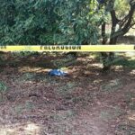 Encuentran cadáver de un hombre en una huerta de aguacate