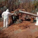 Ejército Mexicano, Guardia Nacional y Policía Michoacán aseguran plantíos y laboratorios en la región de Tierra Caliente