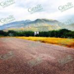 Localizan pista clandestina en el municipio de Arteaga