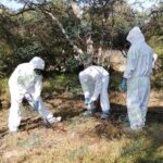 Aumenta a 14 los cadáveres encontrados en fosas clandestinas